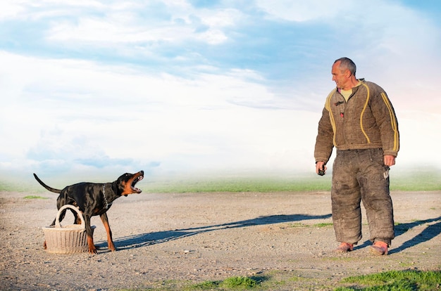 Ausbildung von Dobermann Pinscher