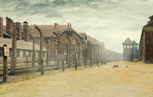 AUSCHWITZ, Polen - 30. März 2012 Holocaust-Gedenkmuseum. Stacheldraht um ein Konzentrationslager mit Krähen und Schuppenwache im Hintergrund.