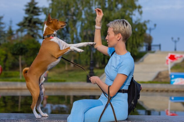 Ausgebildeter intelligenter Hund, der Nahrung vom Menschen nimmt