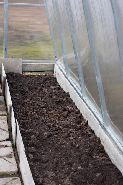 Ausgegrabene Betten im Gewächshaus Vorbereitung des Bodens für die Aussaat von Setzlingen Gartenkonzept