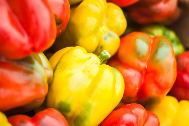 ausgewählte Paprika auf dem Markt