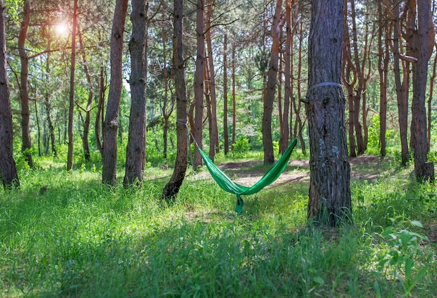 Ausruhen in einer grünen Hängematte im sonnigen Wald.