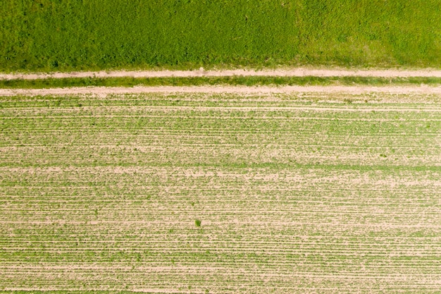 Aussaat von jungem Gras im Frühjahr auf dem Feld aus einem Helikopter