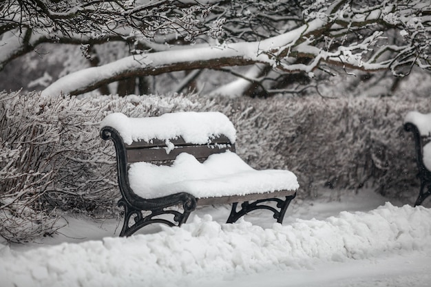 Foto außenaufnahme einer bank im schneebedeckten park