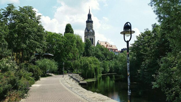 Foto aussicht auf bäume am fluss gegen den himmel