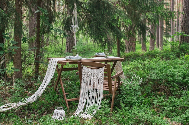 Aussicht auf Bäume im Wald