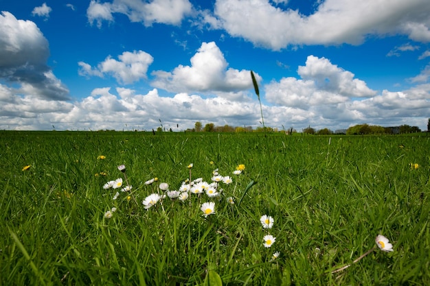Aussicht auf das Feld vor bewölktem Himmel