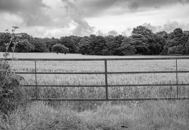 Aussicht auf das Feld vor bewölktem Himmel