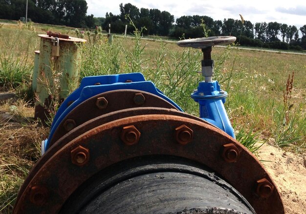 Foto aussicht auf das grasfeld