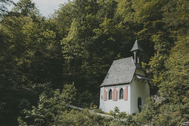 Aussicht auf die Kapelle im Wald