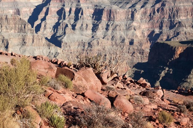 Foto aussicht auf die landschaft im grand canyon national park in den usa