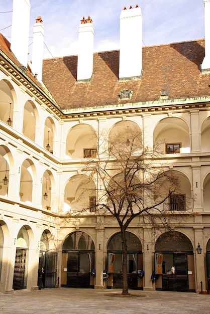 Aussicht auf die Stadt Wien