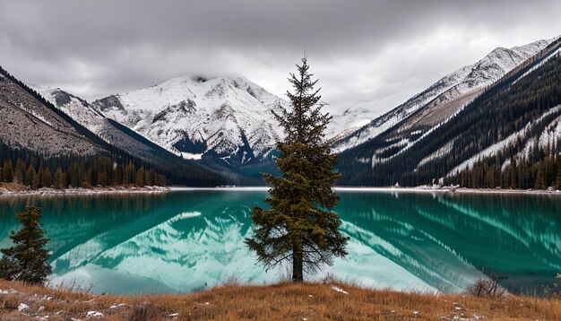 Aussicht auf einen alten Baum in einem See mit den schneebedeckten Bergen an einem bewölkten Tag