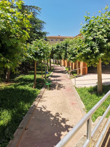 Foto aussicht auf einen spaziergang in utrillas