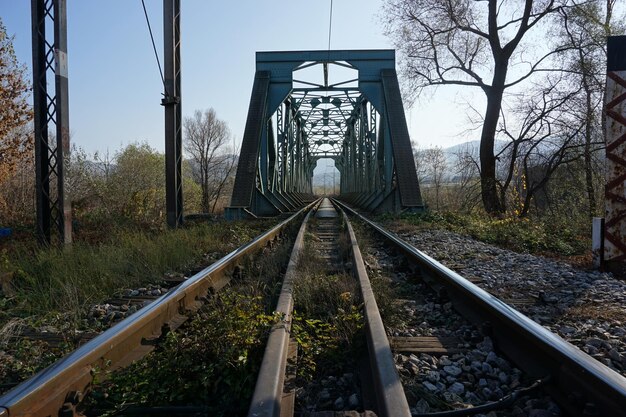 Foto aussicht auf eisenbahnschienen gegen bäume