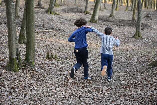 Foto aussicht auf kinder im wald