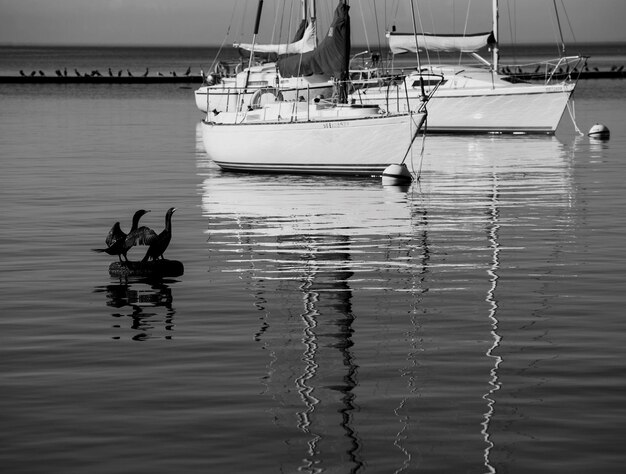 Foto aussicht auf segelboote, die am see verankert sind