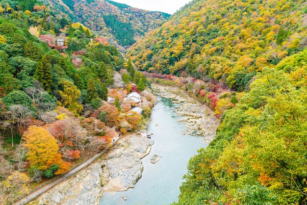 Aussichtspunkt des Flusses und des Waldes in der Herbstjahreszeit bei Arashiyama