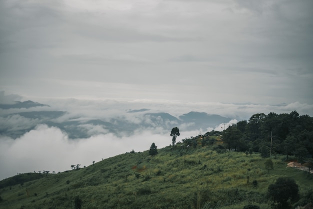 Aussichtspunkt Doi Chang Mup in der Regenzeit, Chiang Rai, Thailand