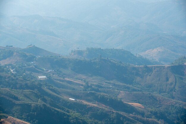 Aussichtspunkt Doi Pha Tang, eine Touristenattraktion im Bezirk Wiang Kaen, Provinz Chiang Rai, Thailand.