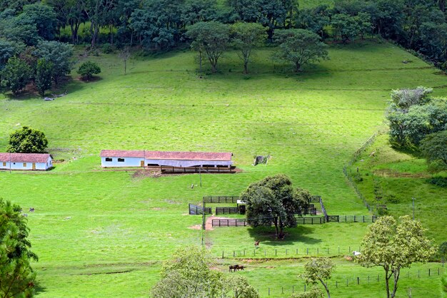 Ausstattung eines typischen bauernhofes des bundesstaates sao paulo