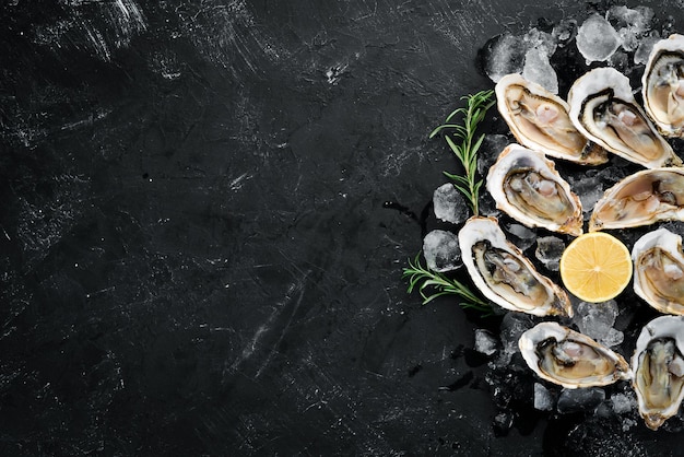 Austern mit Eis und Zitrone auf schwarzem Steinhintergrund Draufsicht auf Meeresfrüchte Kostenloser Kopierbereich