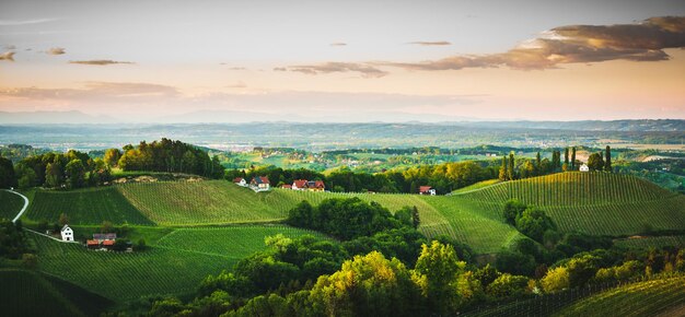 Austria Viñedos Sulztal área de Leibnitz sur de Estiria