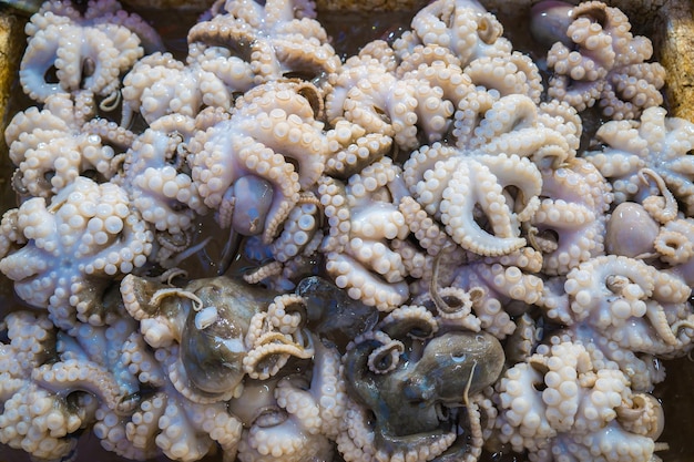 Auswahl an frischen Meeresfrüchten auf dem Markt Frischer Lachs, Wolfsbarsch, Rotbarsch, Makrele, Krabben, Hummer, Garnelen, schwarze Muscheln, Auster, Jakobsmuschel und Tintenfisch auf Eis auf dem Markt