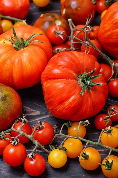 Auswahl an frischen Tomaten