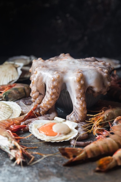 Auswahl an Meeresfrüchten mit rohem, frischem Tintenfisch, Jakobsmuscheln und Garnelen als Hintergrund für ein Gourmet-Dinner