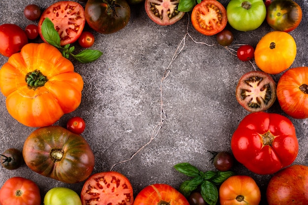 Auswahl an verschiedenen bunten Tomaten