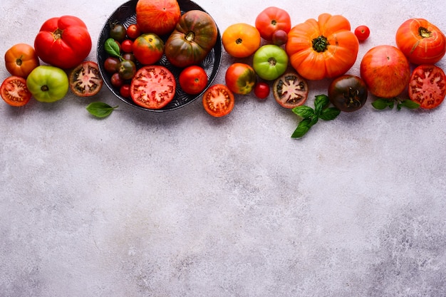 Auswahl an verschiedenen bunten Tomaten