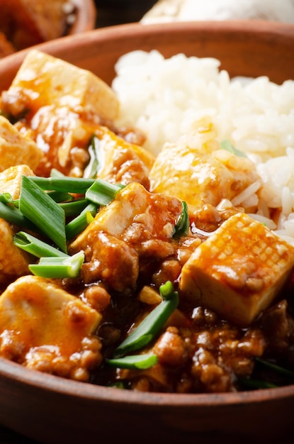 Auténtica comida tradicional china plato de tofu mapo con cebollino de cerdo y primer plano de arroz al vapor