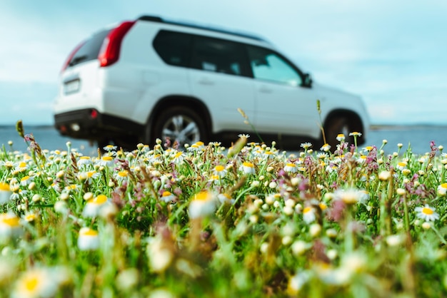 Foto auto am meer auf der grünen blumenwiese