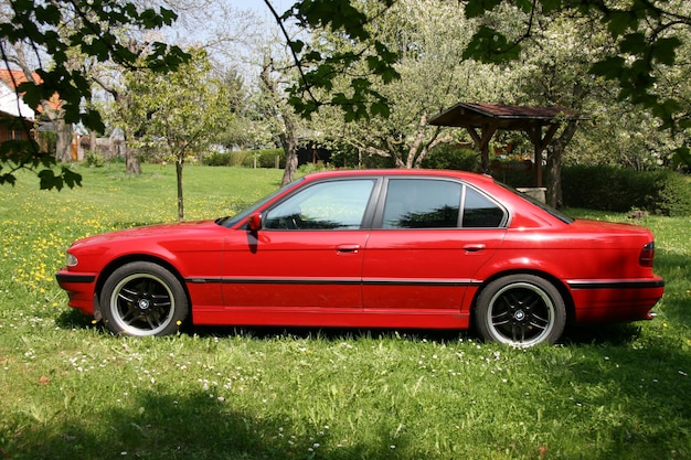 Foto auto auf dem land gegen bäume im parkplatz