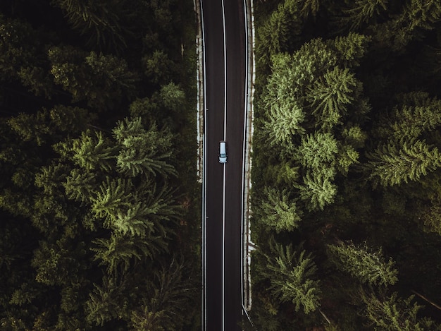 Foto auto auf der straße inmitten von bäumen