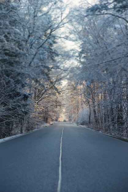 Auto auf der Straße zwischen Bäumen im schneebedeckten Wald am frostigen Wintermorgen