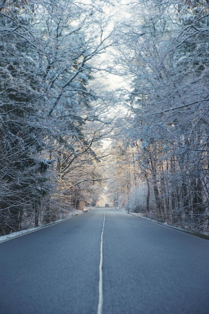 Auto auf der Straße zwischen Bäumen im Wald, der am frostigen Wintermorgen von Schnee bedeckt ist