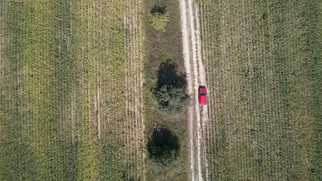 Auto fährt auf der Straße zwischen zwei großen Feldern mit grünem Weizen Landwirtschaftslandschaft