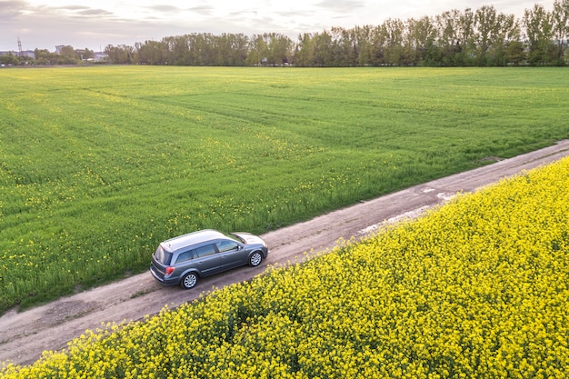 Auto fahren auf gerader Straße durch grüne Felder mit blühenden Rapspflanzen.