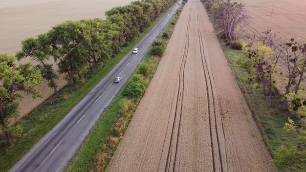 Autobahn, die Autos und Bäume zwischen ausgesäten und gereiften Weizenfeldern fährt