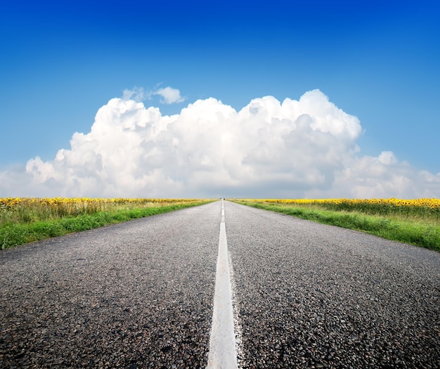 Autobahn durch das Feld der Sonnenblumen und des blauen Himmels