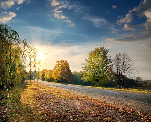 Autobahn durch den schönen Herbstwald und strahlende Sonne