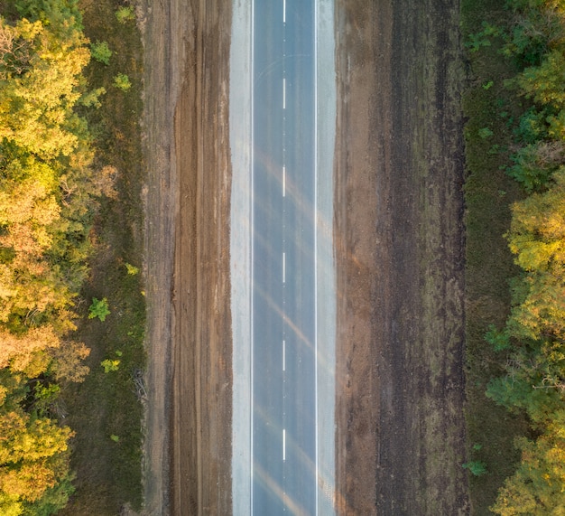 Foto autobahn entlang der herbstbäume