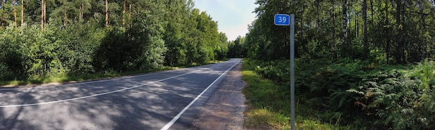 Autobahn gepflasterte Straße durch den Wald und eine Säule