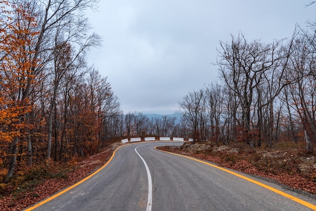 Autobahn im bunten herbstlichen Bergwald