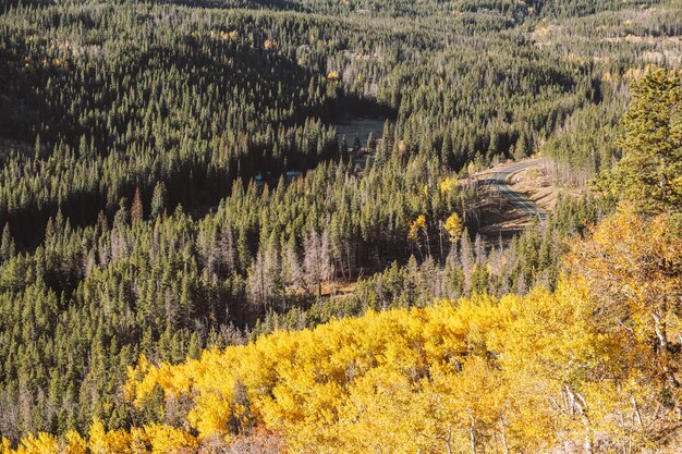 Foto autobahn im herbst in colorado usa