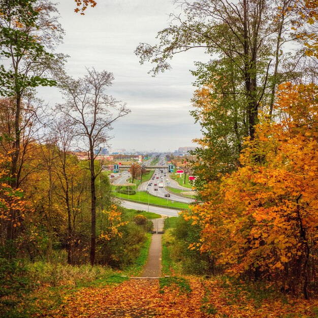 Autobahn in Sankt Petersburg Herbststadtbild von Pulkovo-Hügeln. Herbstansicht des Stadtparks und der Pulkovo-Autobahn in St. Petersburg. Russland.