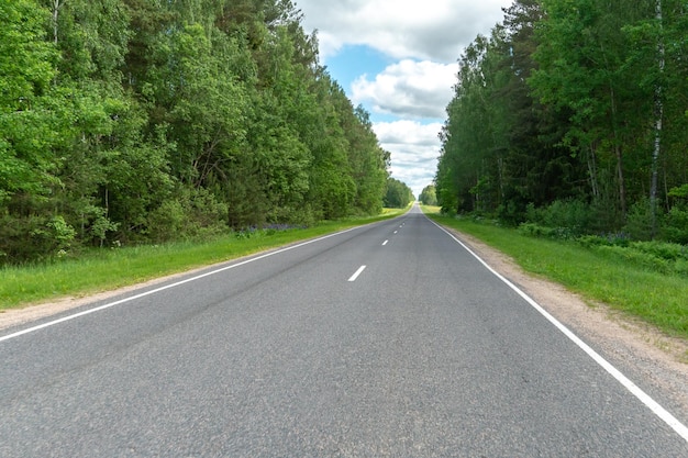 Autobahn oder Asphaltstraße durch den Wald Eine leere Fahrbahn ohne Autos oder Menschen Reisen Sie zu natürlichen Orten oder reservieren Sie soziale Distanz Abwesenheit von Menschen Coronavirus COVID19