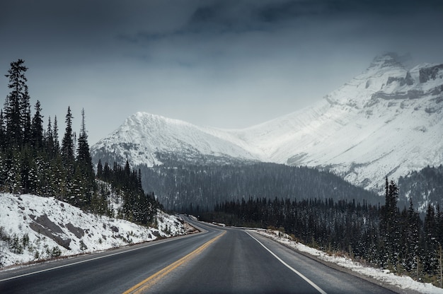 Autobahnstraße mit Schneeberg in düster am Icefields Parkway